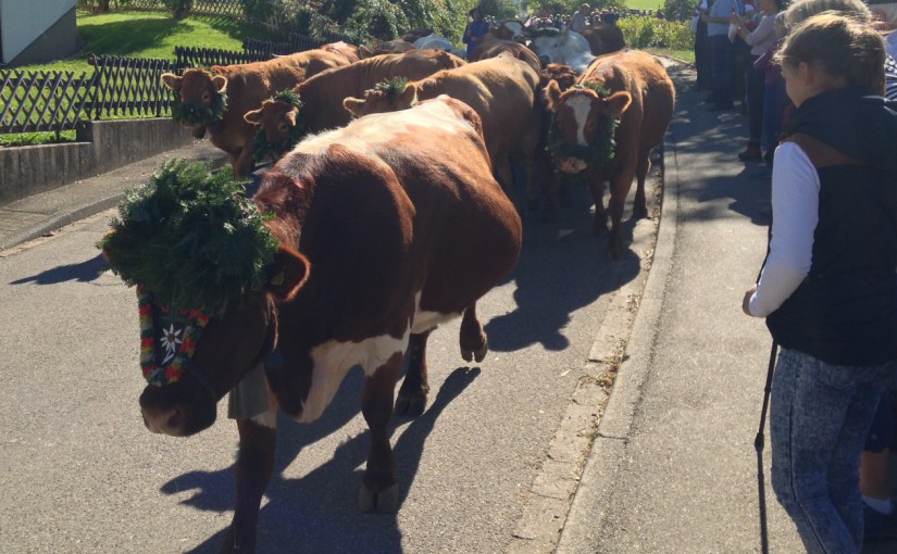 2015 Oktober | Oberried